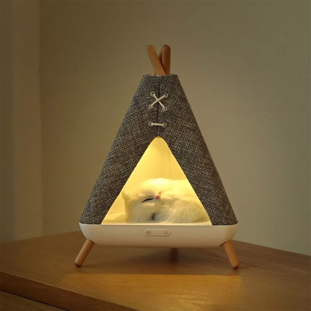 Tent design night light and speaker