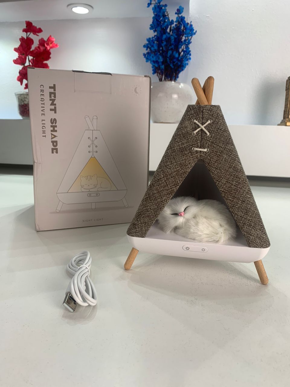 Tent design night light and speaker