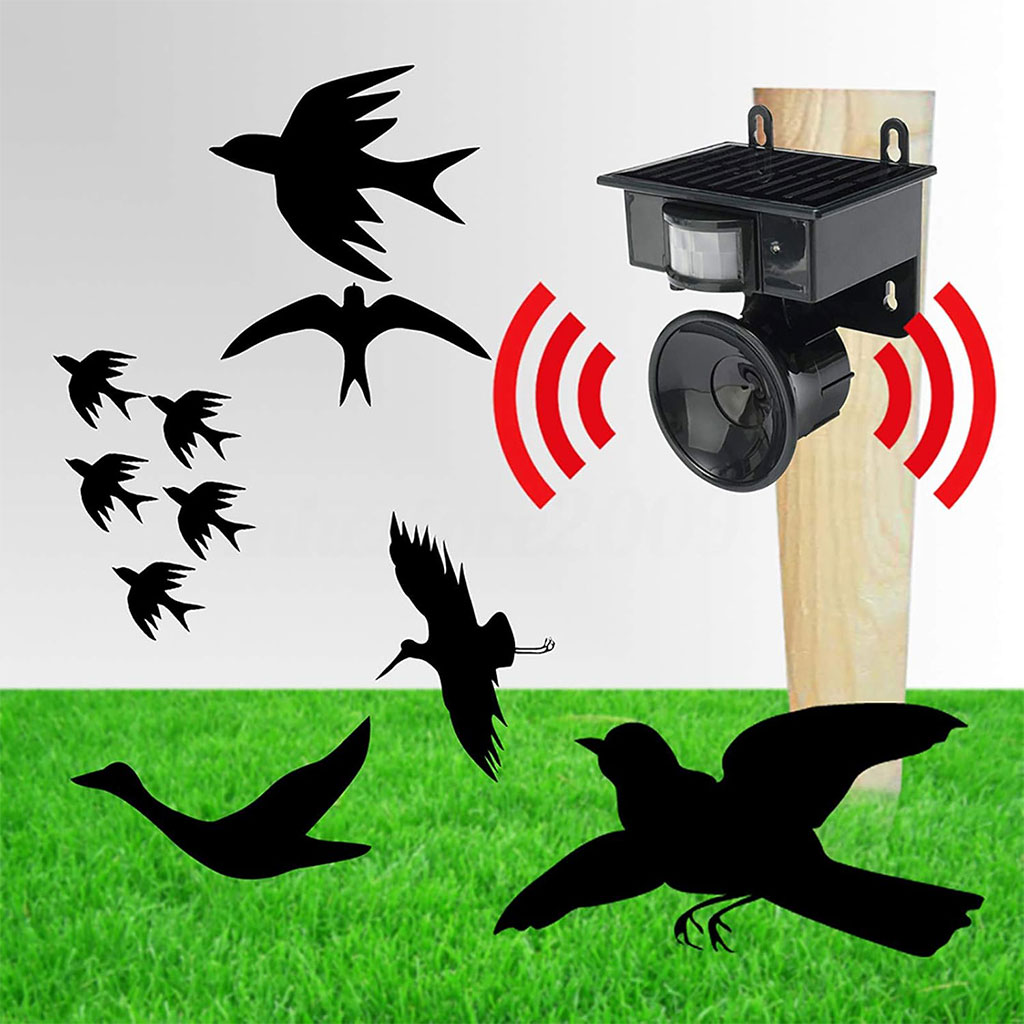 Solar animal and bird repellent with motion sensor