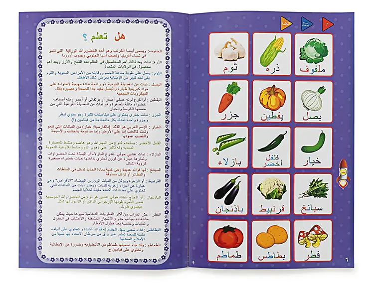 كتاب إلكتروني لتعلم المفردات العربية